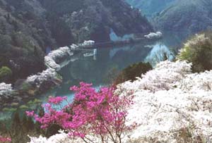 旭川湖写真