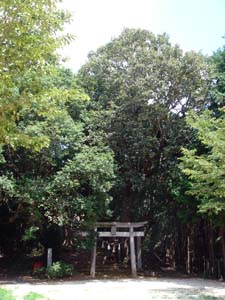 湯田八幡神社の社そう写真