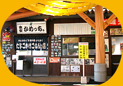 たまごかけごはんの店「食堂かめっち。」