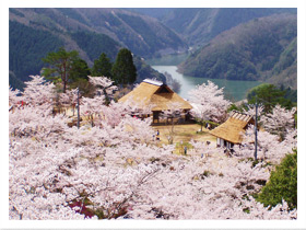 三休公園