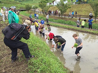 28年の田植えのようす