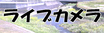 【右列】ライブカメラ