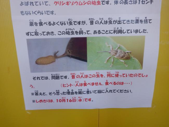 ２