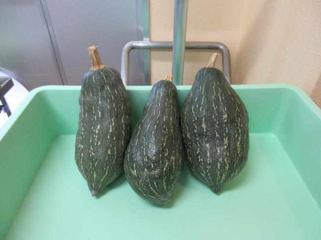かぼちゃ