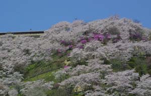 三休公園写真