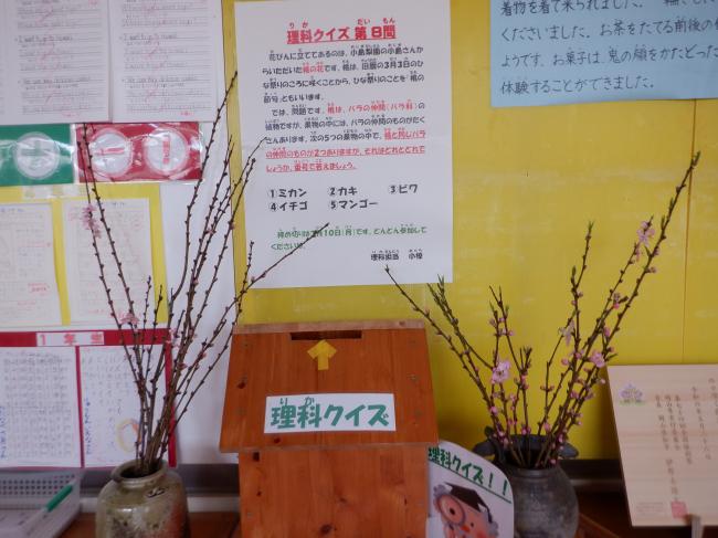 理科