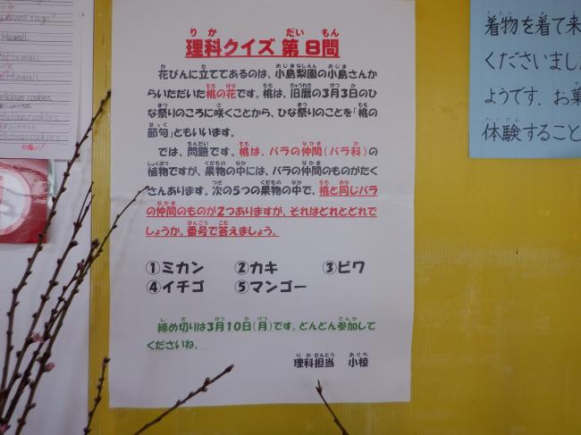 クイズ