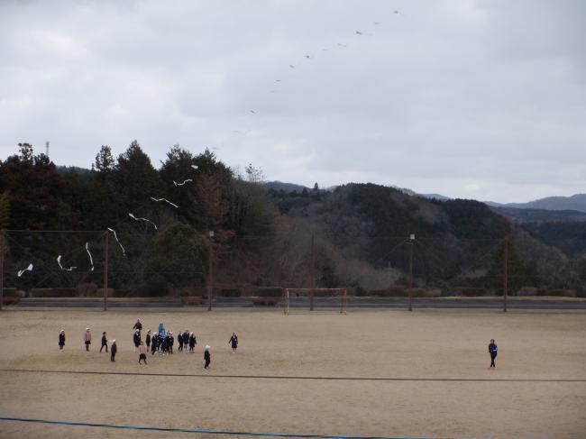 たこ６