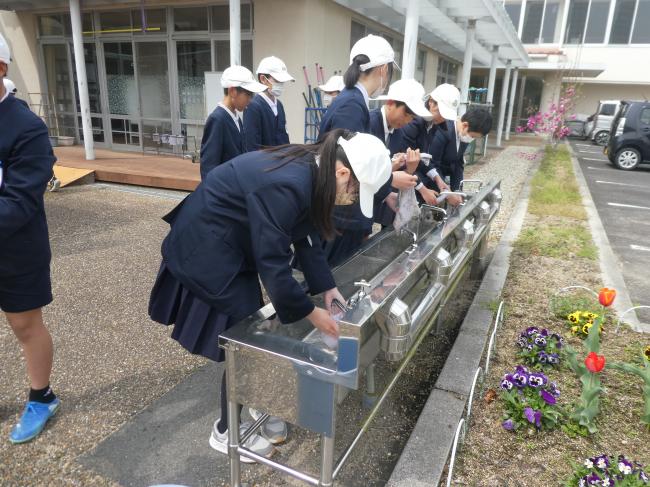 ぞうきん