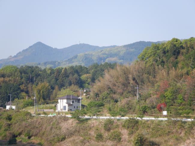 山