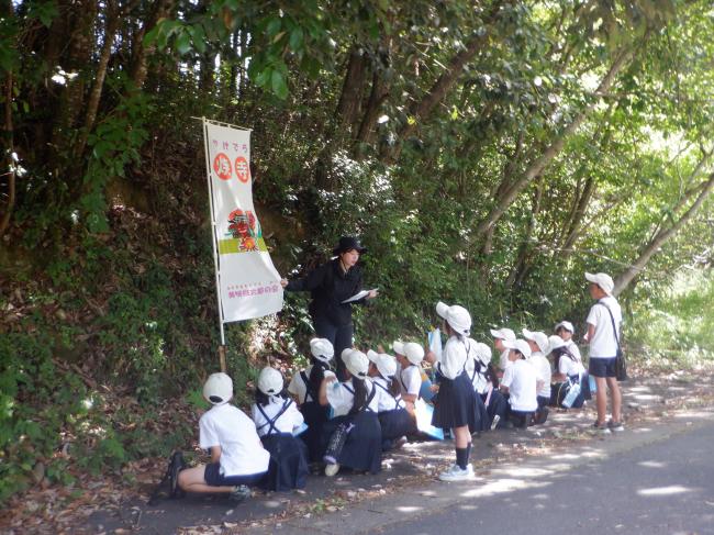 やけ寺