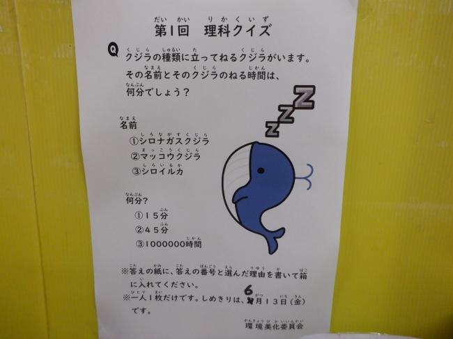 問題