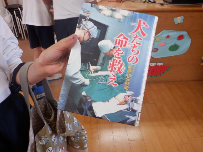 本