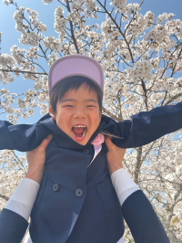 桜と新1年生