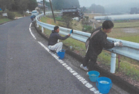 ガードレール清掃