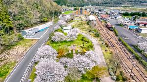 鉱山公園の全体写真