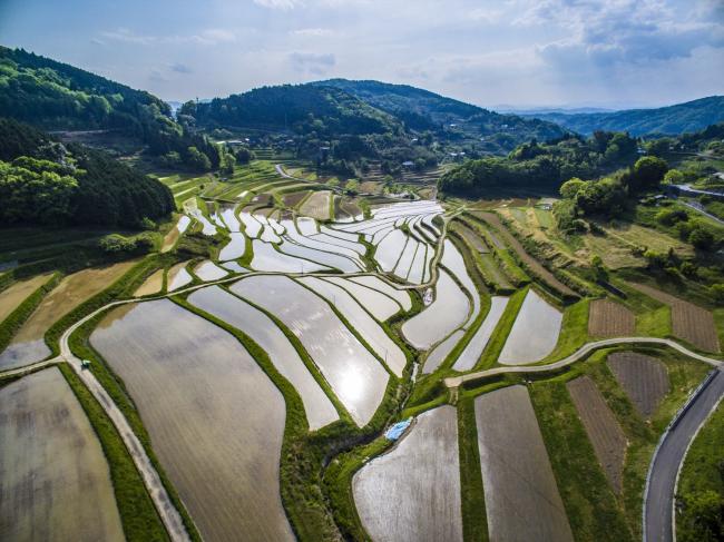 大垪和棚田