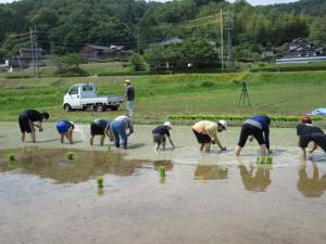 5年田植え体験