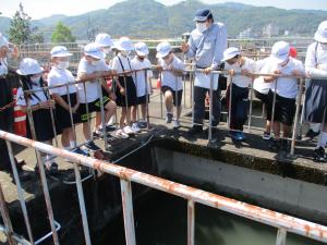 浄水場見学の様子