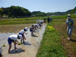 20220602田植え体験