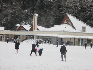 雪で遊ぶ様子