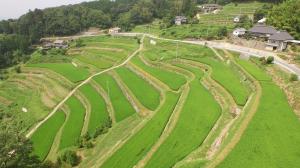 小山の棚田