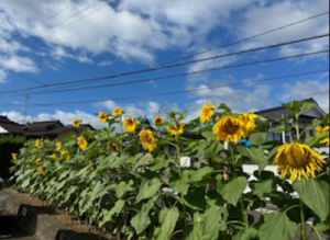 報告５　美咲町役場西駐車場