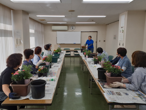 寄せ植え1