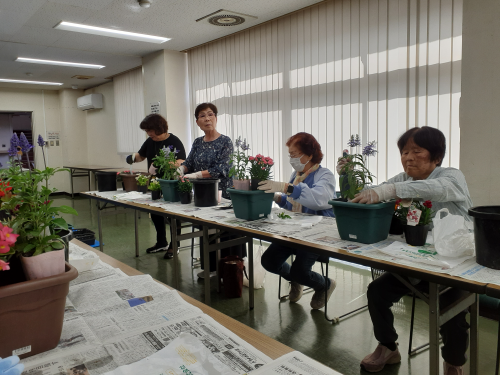 寄せ植え2