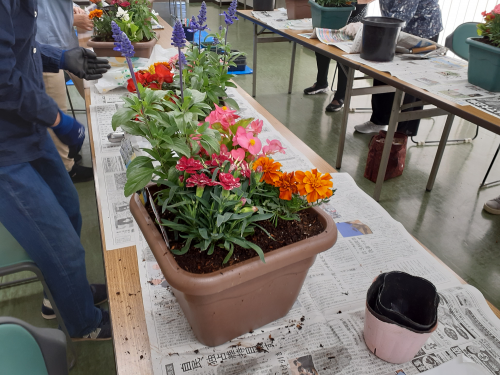 寄せ植え3